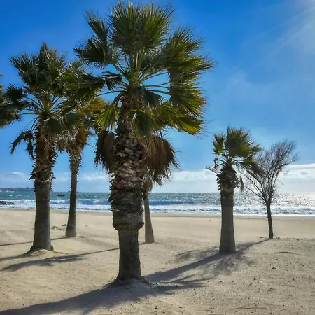 Apartman Le Mediterranee-4 By Interhome